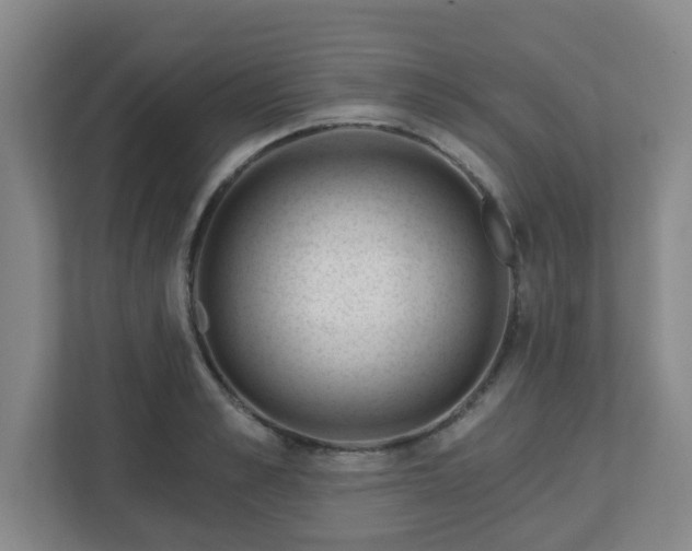 X0000113120989200909041302