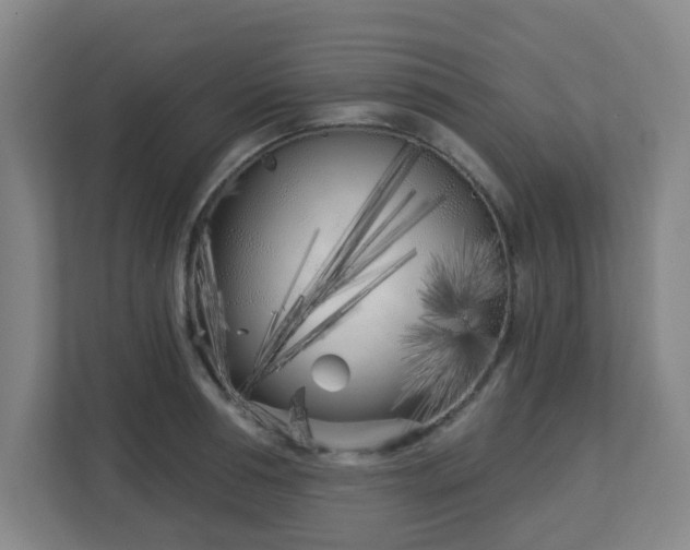 X0000113120994200909041302