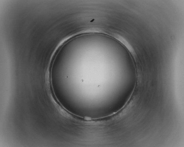 X0000113120996200909041302