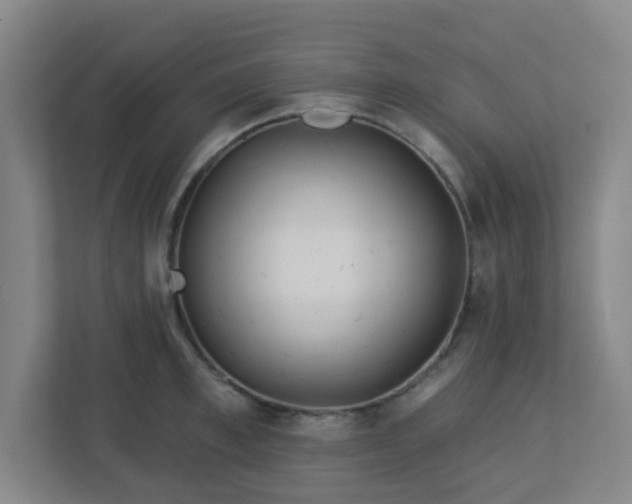 X0000113120997200909041302