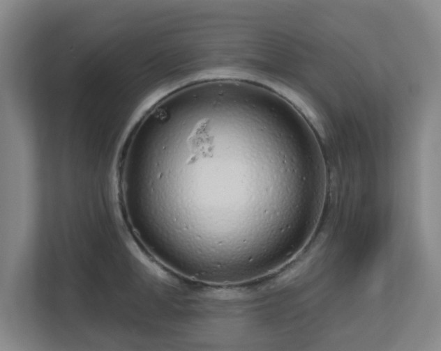 X0000113120998200909041302