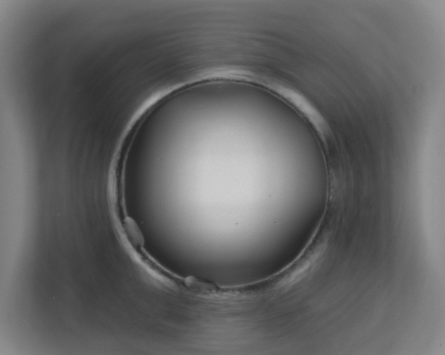 X0000113120999200909041302