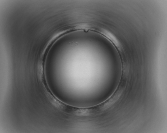 X0000113121000200909041302