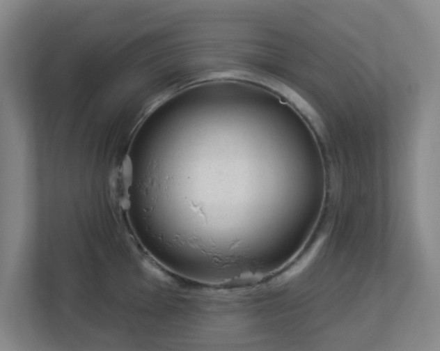 X0000113121001200909041302