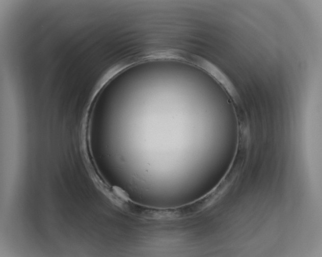 X0000113121002200909041302