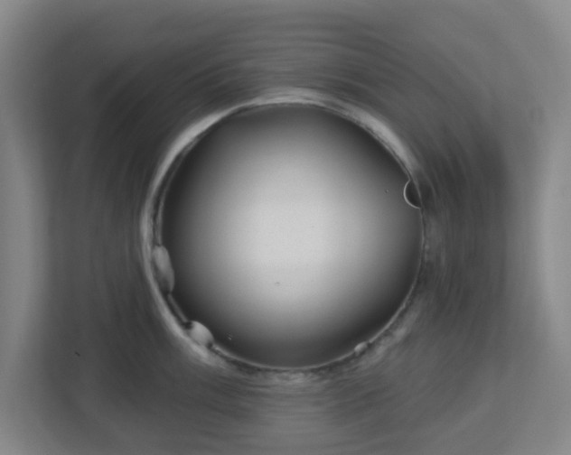 X0000113121003200909041302