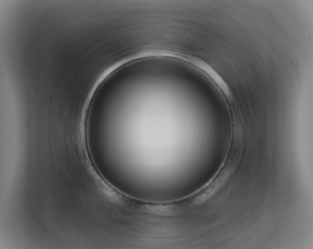 X0000113121004200909041302