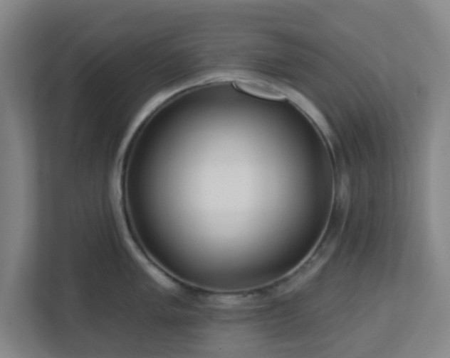 X0000113121005200909041302