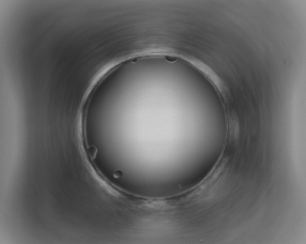 X0000113121006200909041302