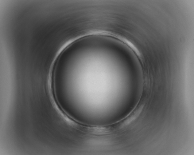 X0000113121007200909041302