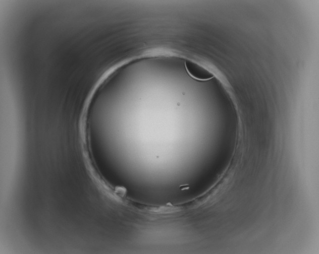 X0000113121008200909041302