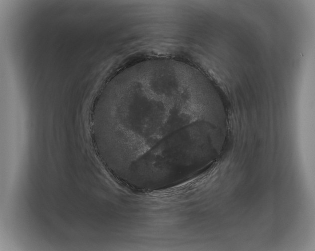 X0000113121009200909041301