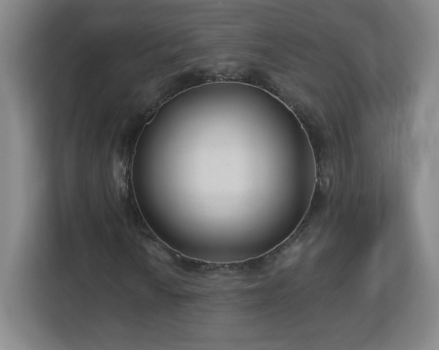 X0000113121010200909041301