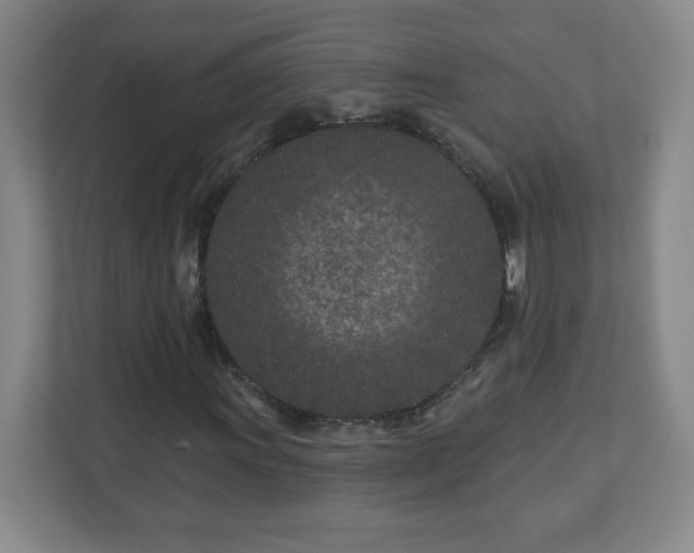 X0000113121011200909041301