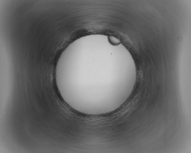 X0000113121012200909041301