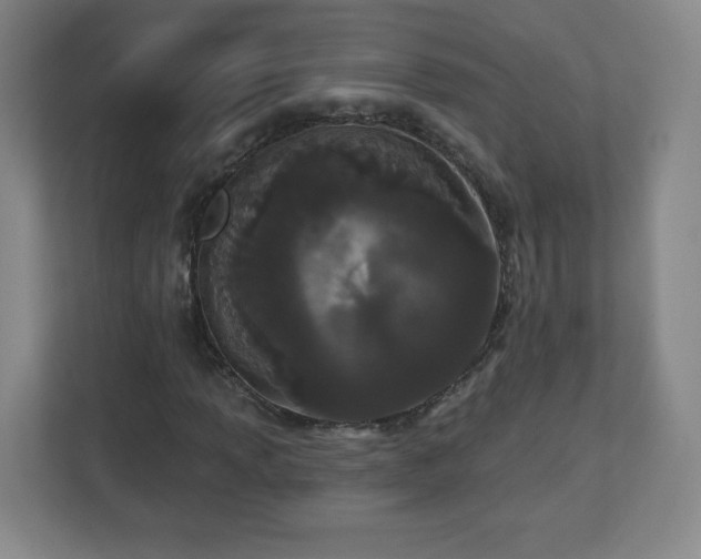 X0000113121013200909041301