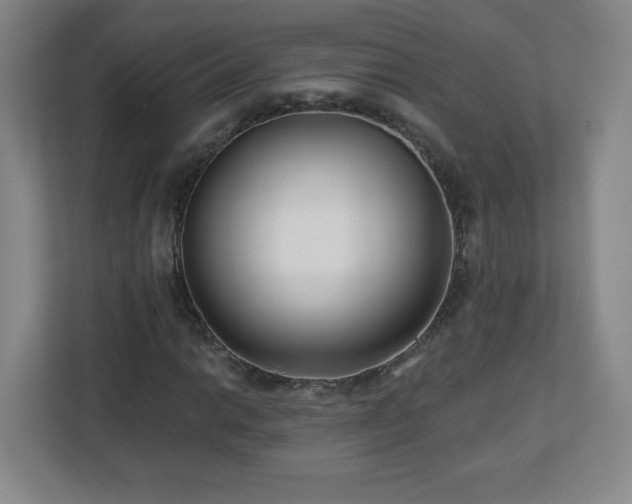 X0000113121014200909041301