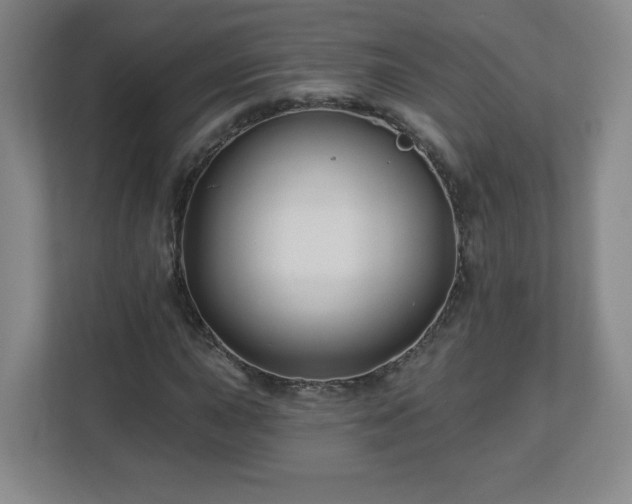 X0000113121015200909041301