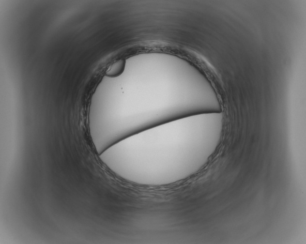 X0000113121016200909041301