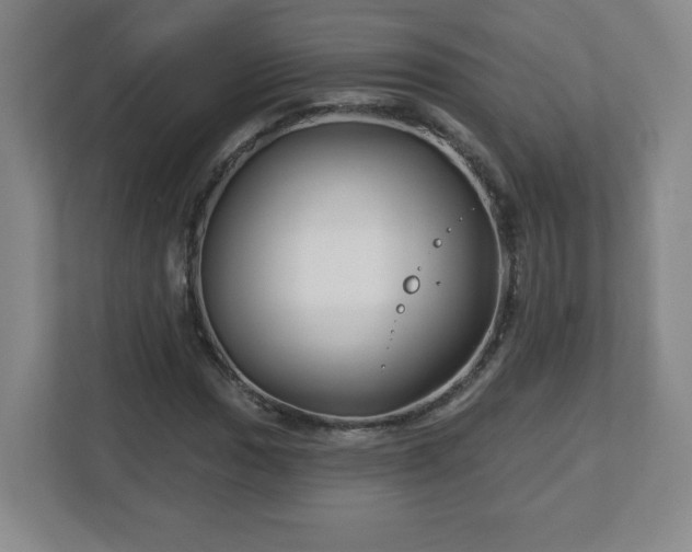 X0000113121017200909041302