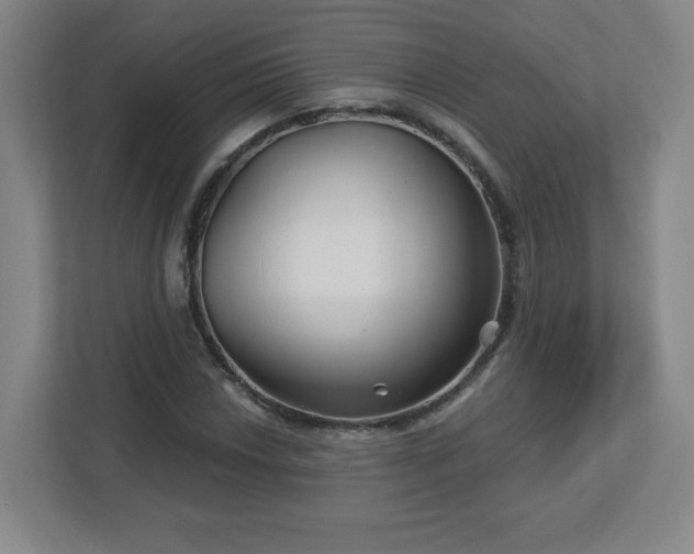 X0000113121018200909041302