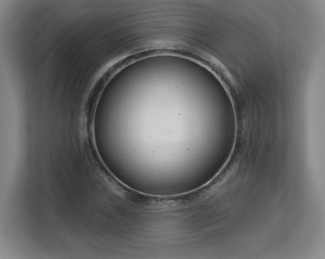 X0000113121019200909041302