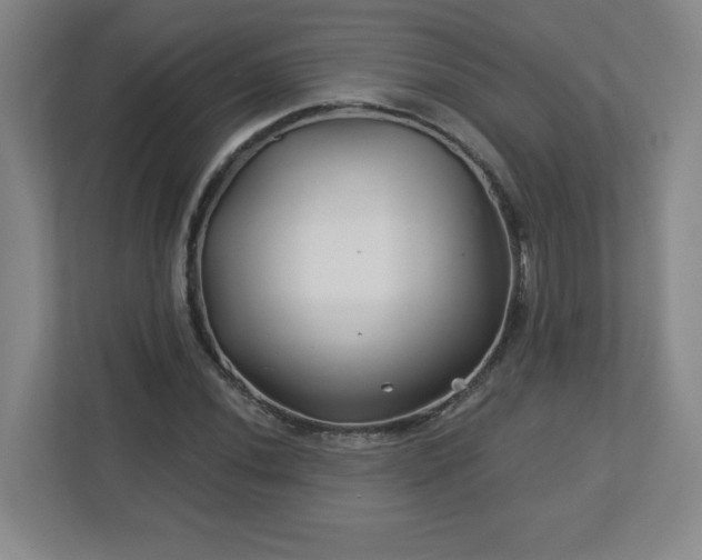 X0000113121020200909041302