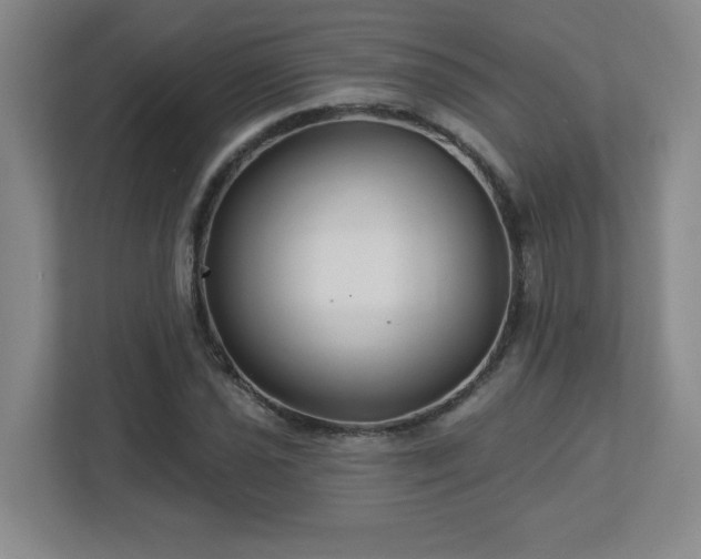 X0000113121021200909041302