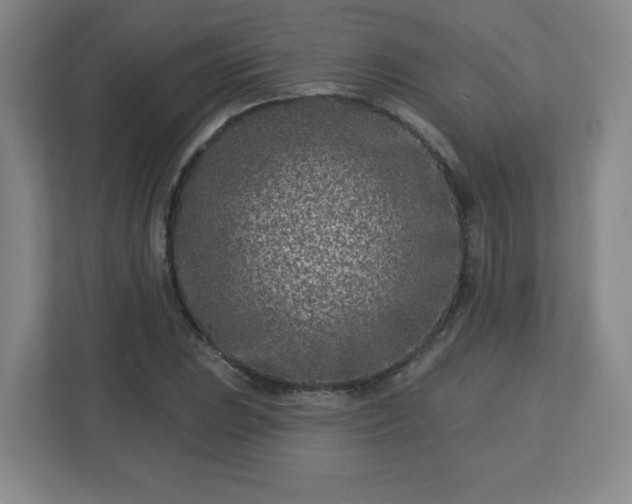 X0000113121023200909041302