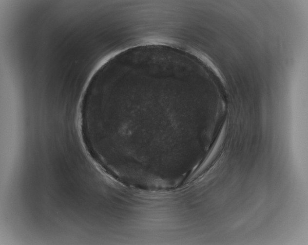 X0000113121024200909041302