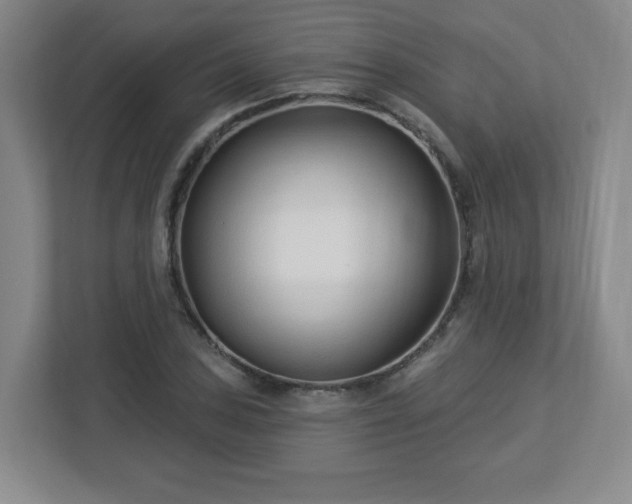 X0000113121027200909041302