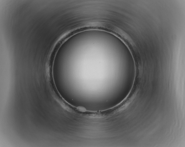 X0000113121029200909041302