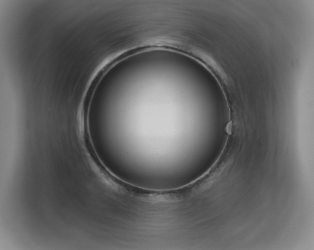 X0000113121032200909041302