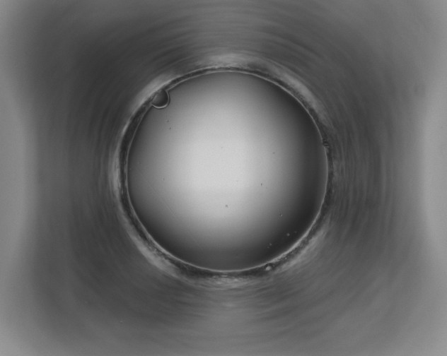 X0000113121034200909041302