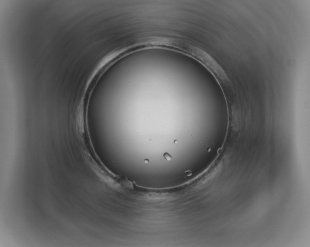 X0000113121036200909041302