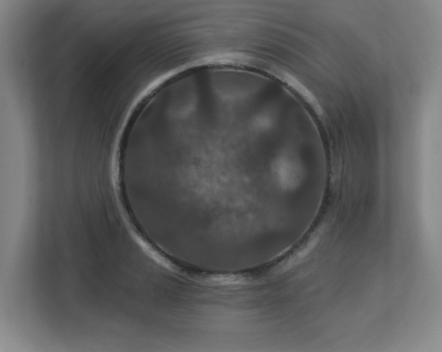 X0000113121037200909041302