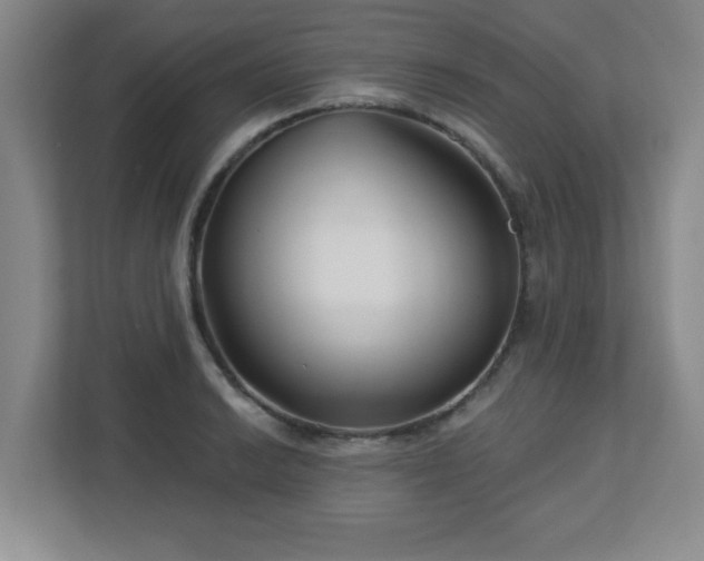 X0000113121038200909041302