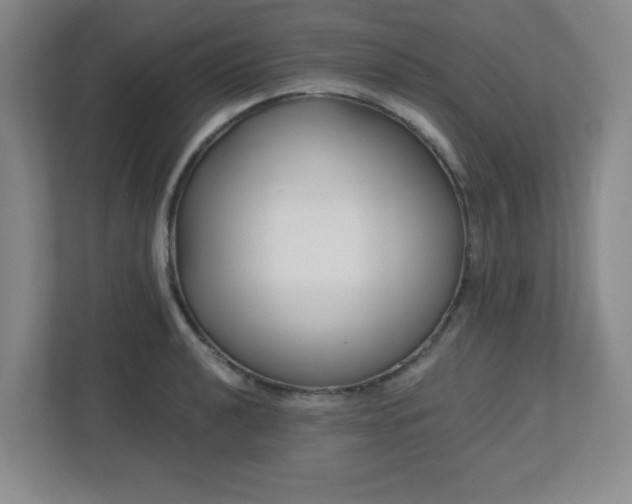 X0000113121040200909041302