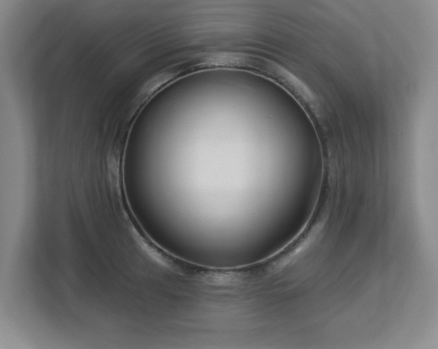 X0000113121041200909041302