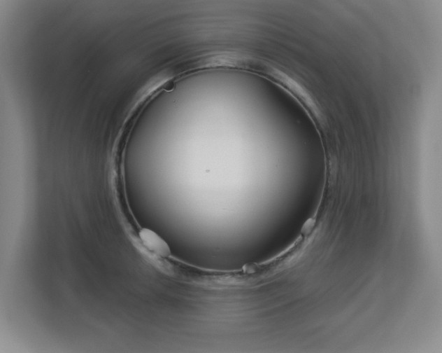 X0000113121042200909041302