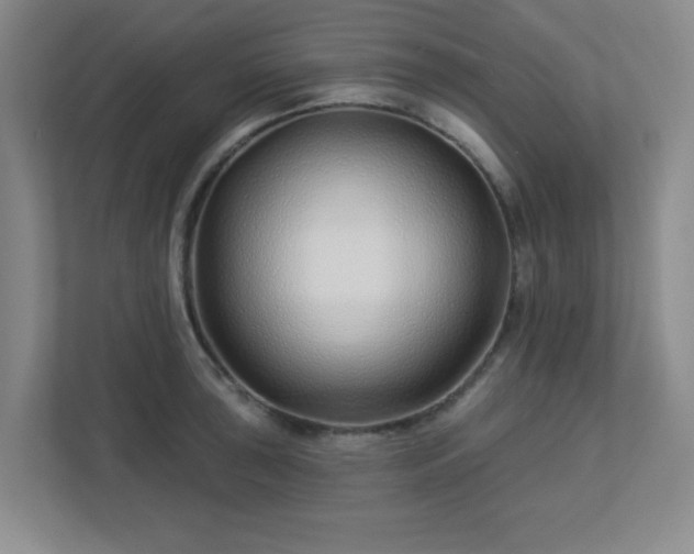 X0000113121043200909041302