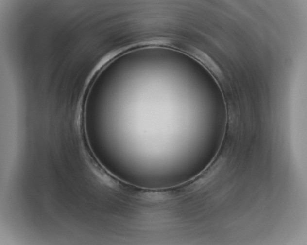 X0000113121044200909041302