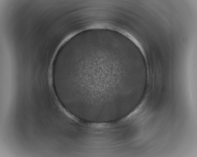 X0000113121045200909041302