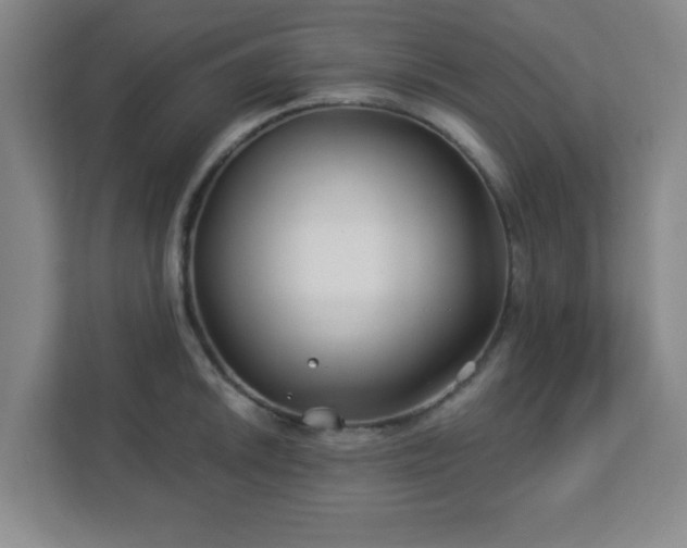 X0000113121046200909041302