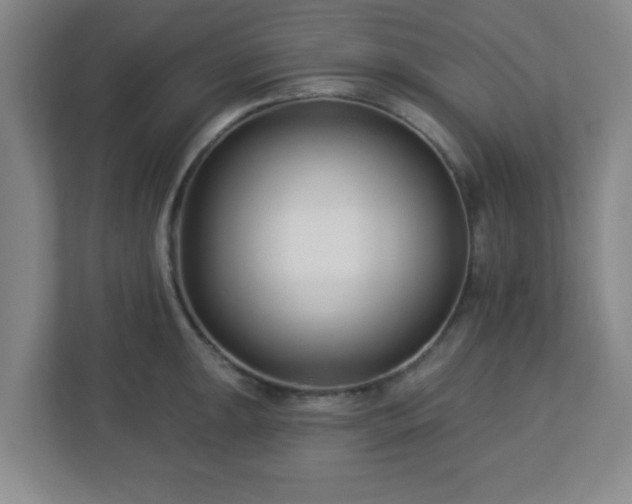 X0000113121047200909041302