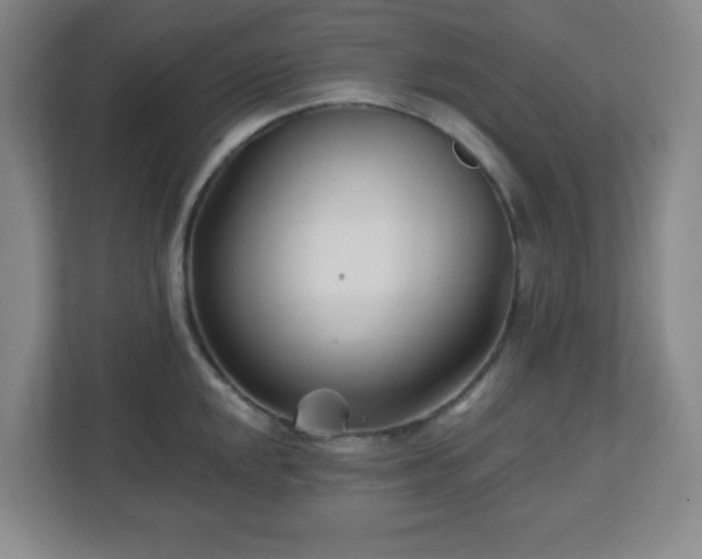 X0000113121048200909041302