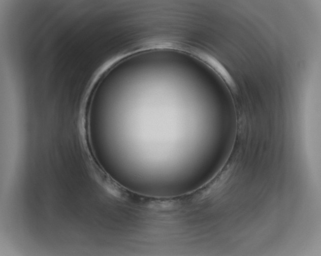 X0000113121051200909041302