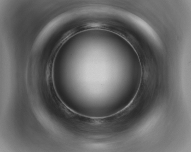 X0000113121052200909041302