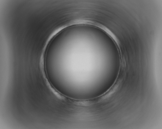 X0000113121053200909041302