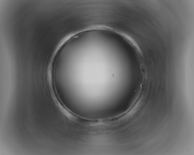 X0000113121054200909041302